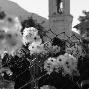 2 Gualdo, campanile della chiesa di San Martino dei Gualdesi