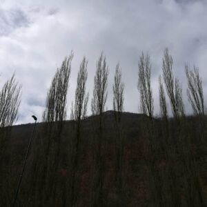 IMG-20180324-WA0010