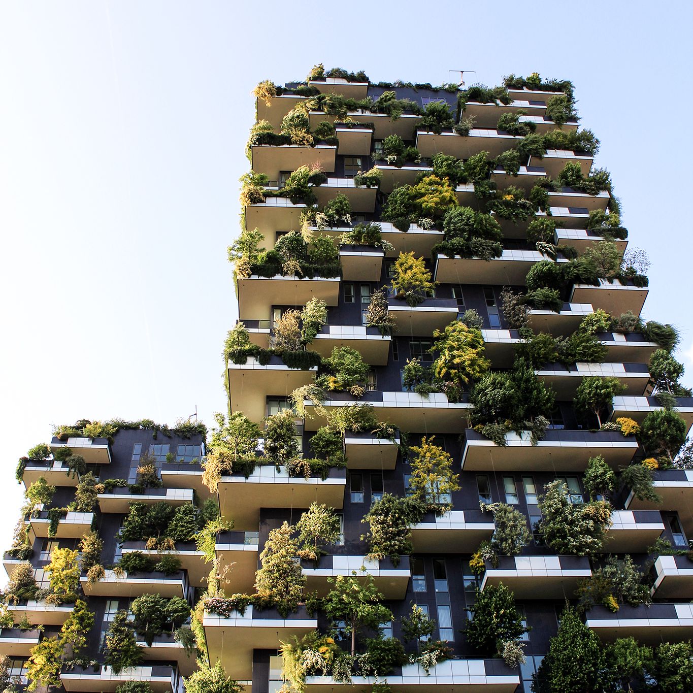 Veduta esterna - Bosco verticale, Stefano Boeri