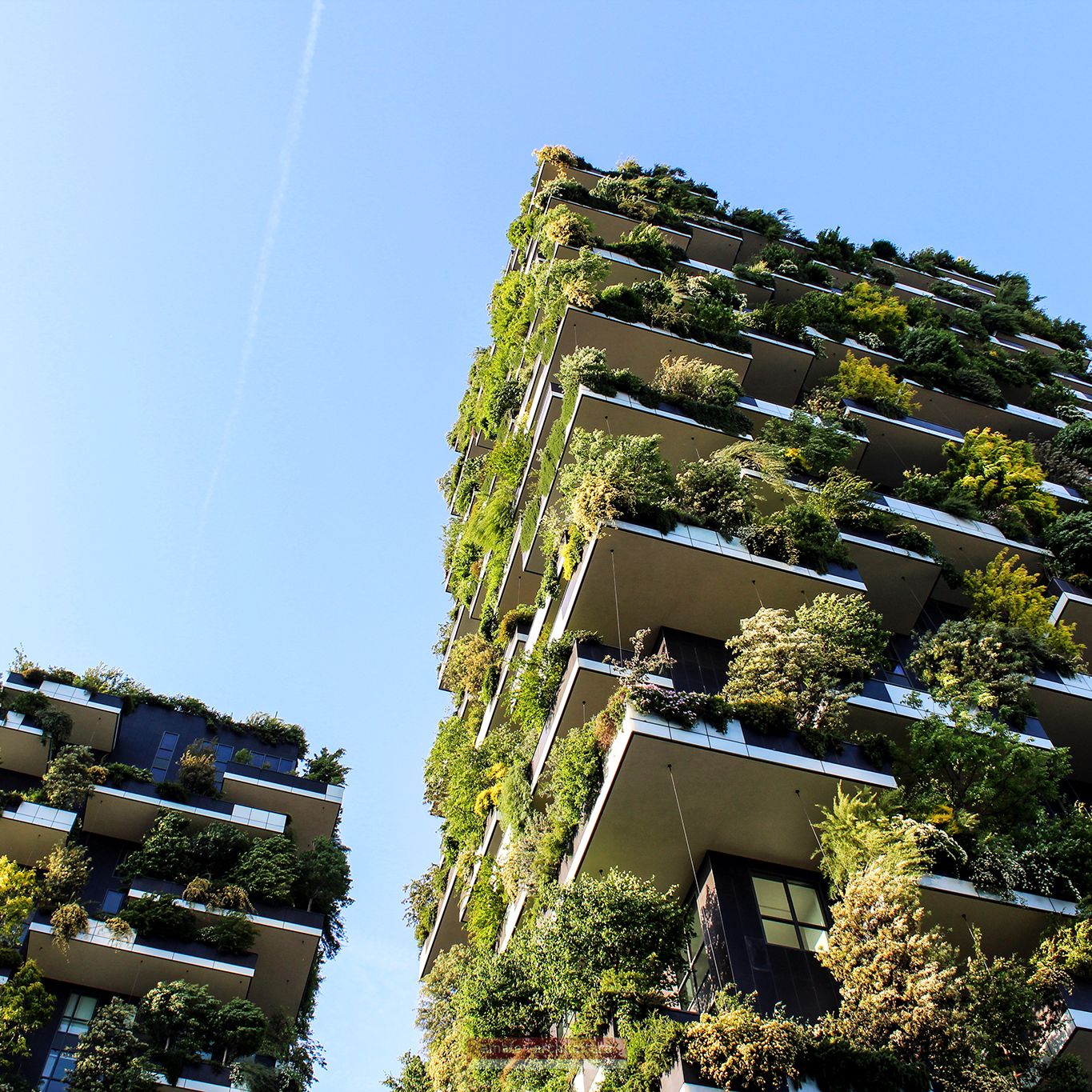 Veduta esterna - Bosco verticale, Stefano Boeri