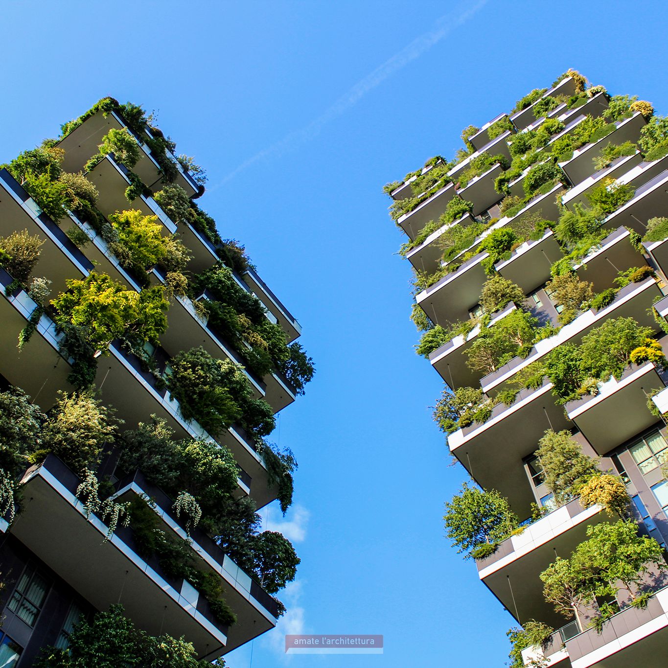 Particolare - Bosco verticale, Stefano Boeri