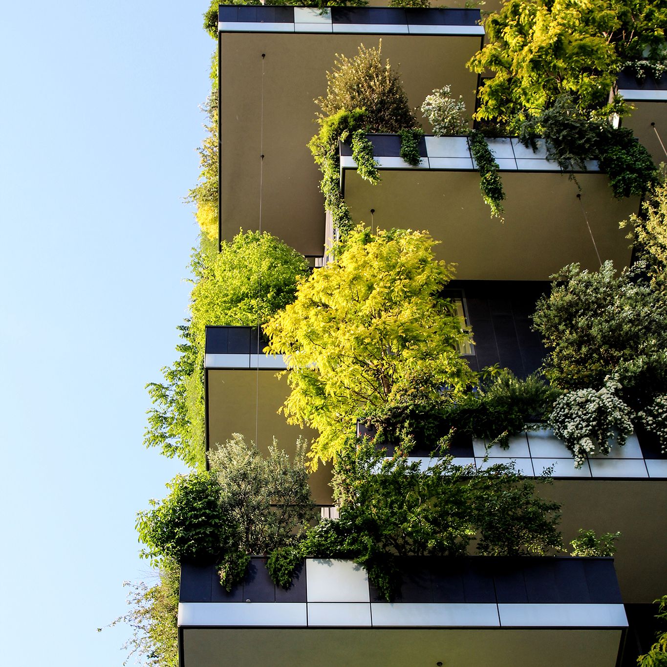 Particolare - Bosco verticale, Stefano Boeri