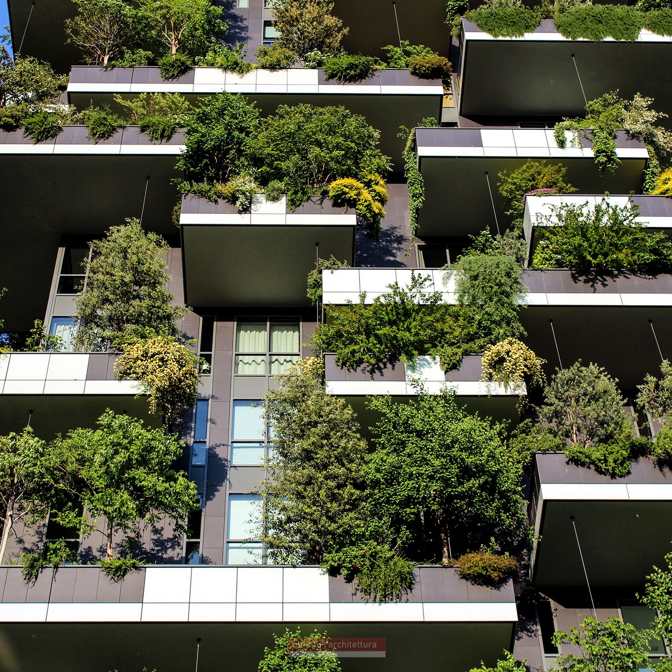 Particolare - Bosco verticale, Stefano Boeri